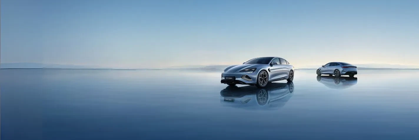 AG亚娱 Auto elettriche